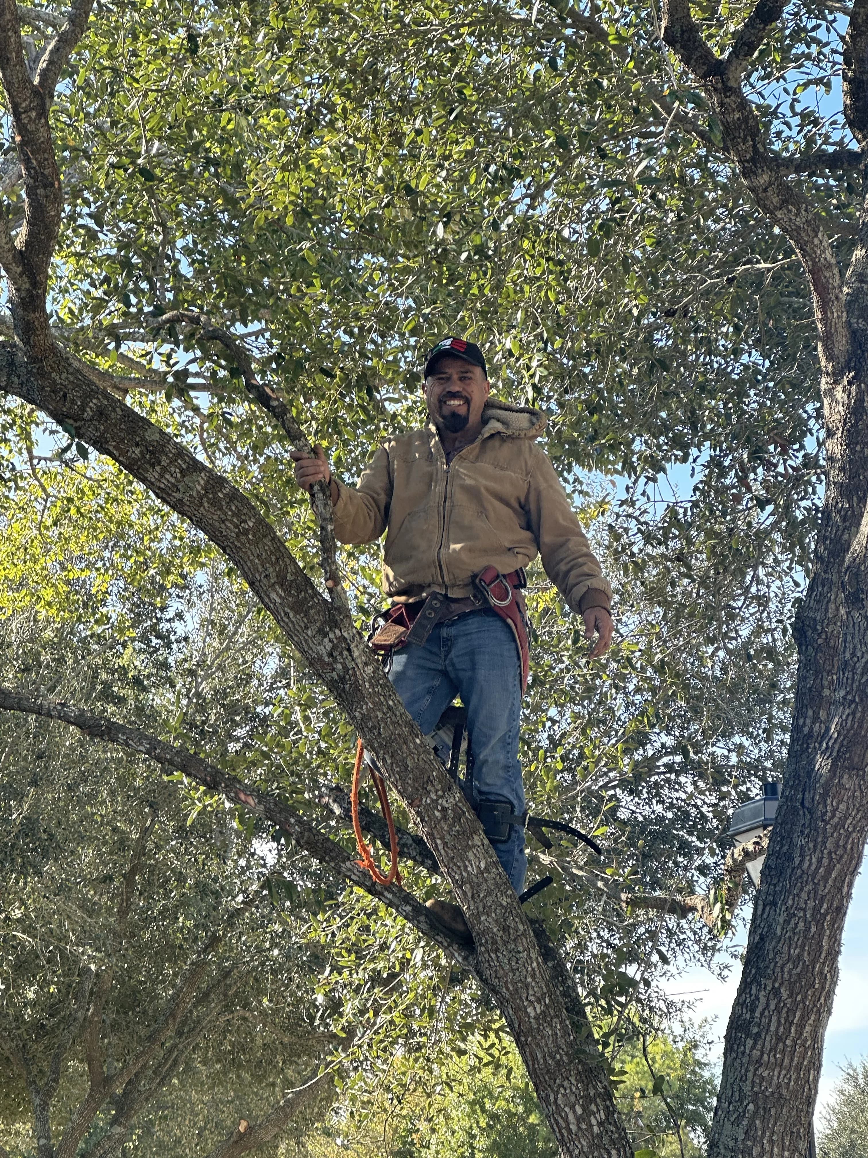 After: Backyard Transformation