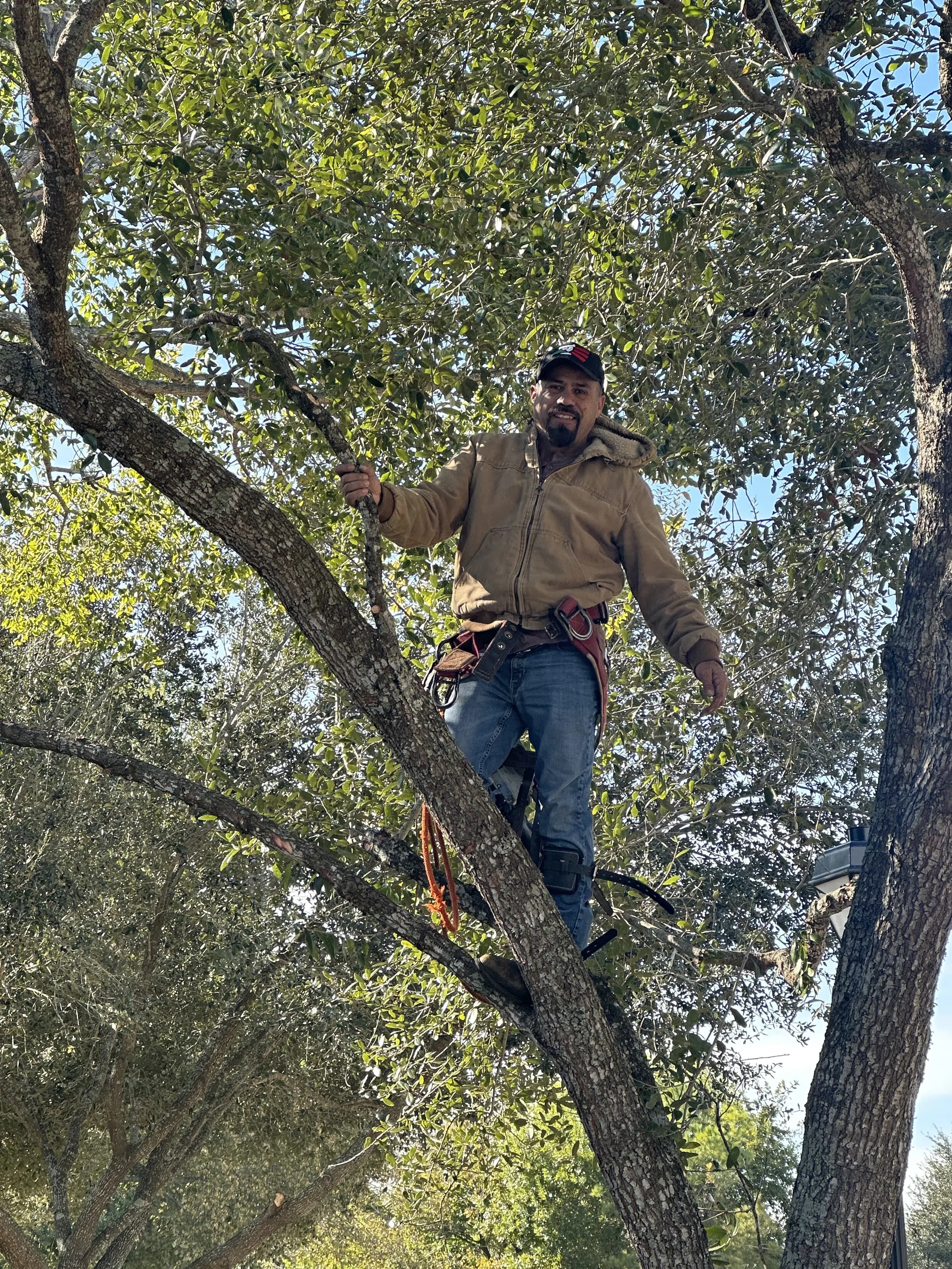 Moreno Landscaping project