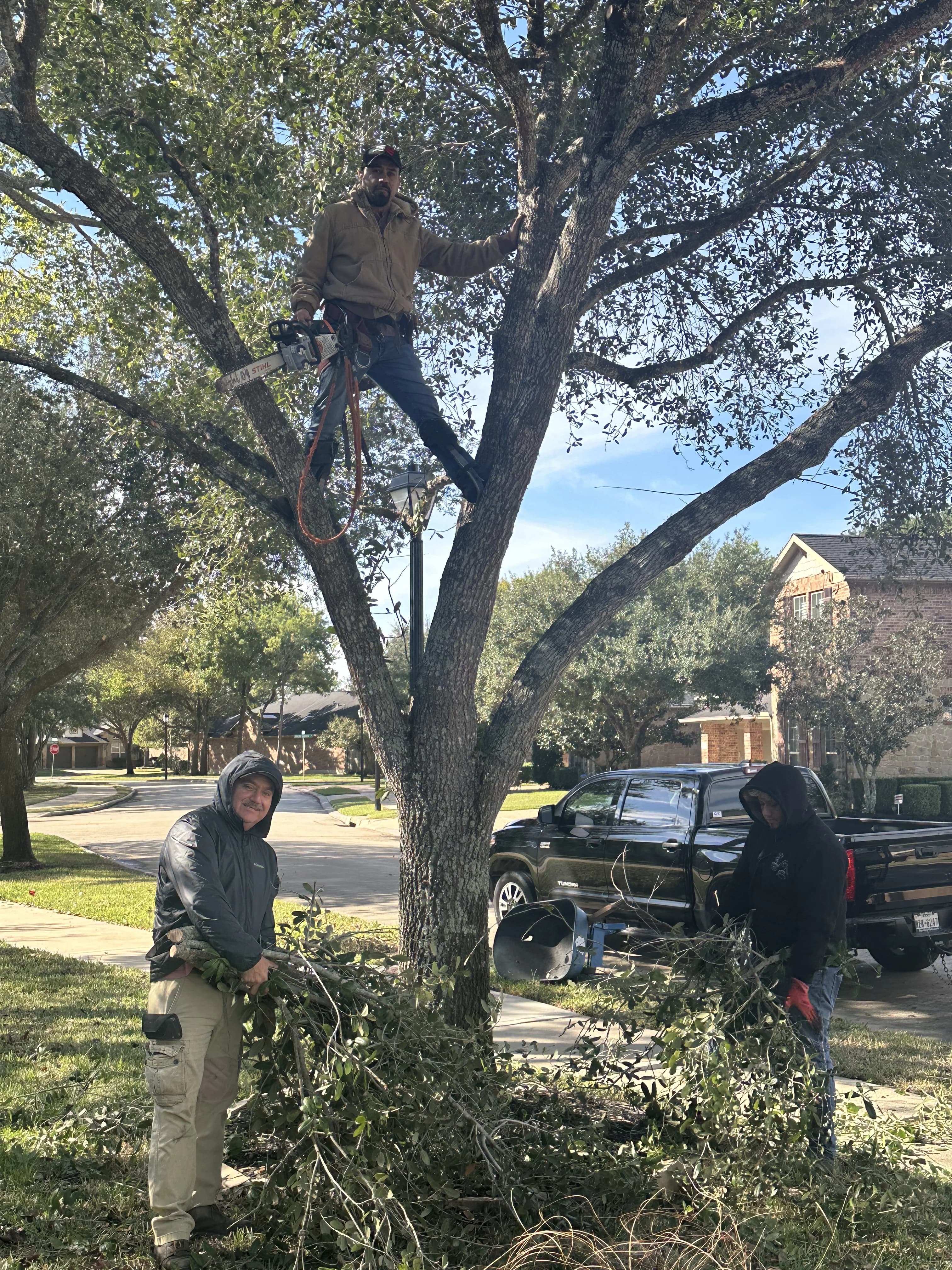 Moreno Landscaping project