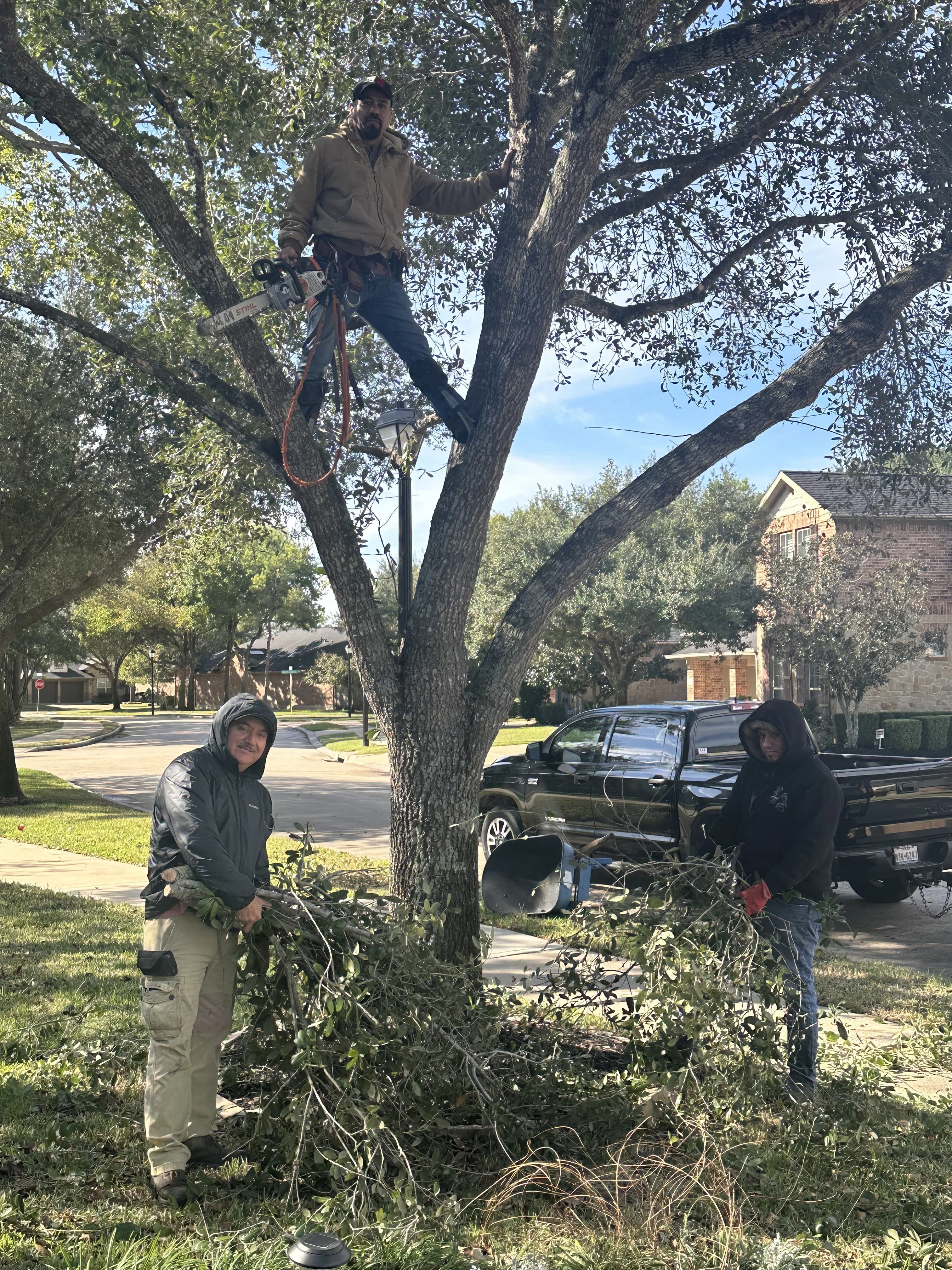 Moreno Landscaping project