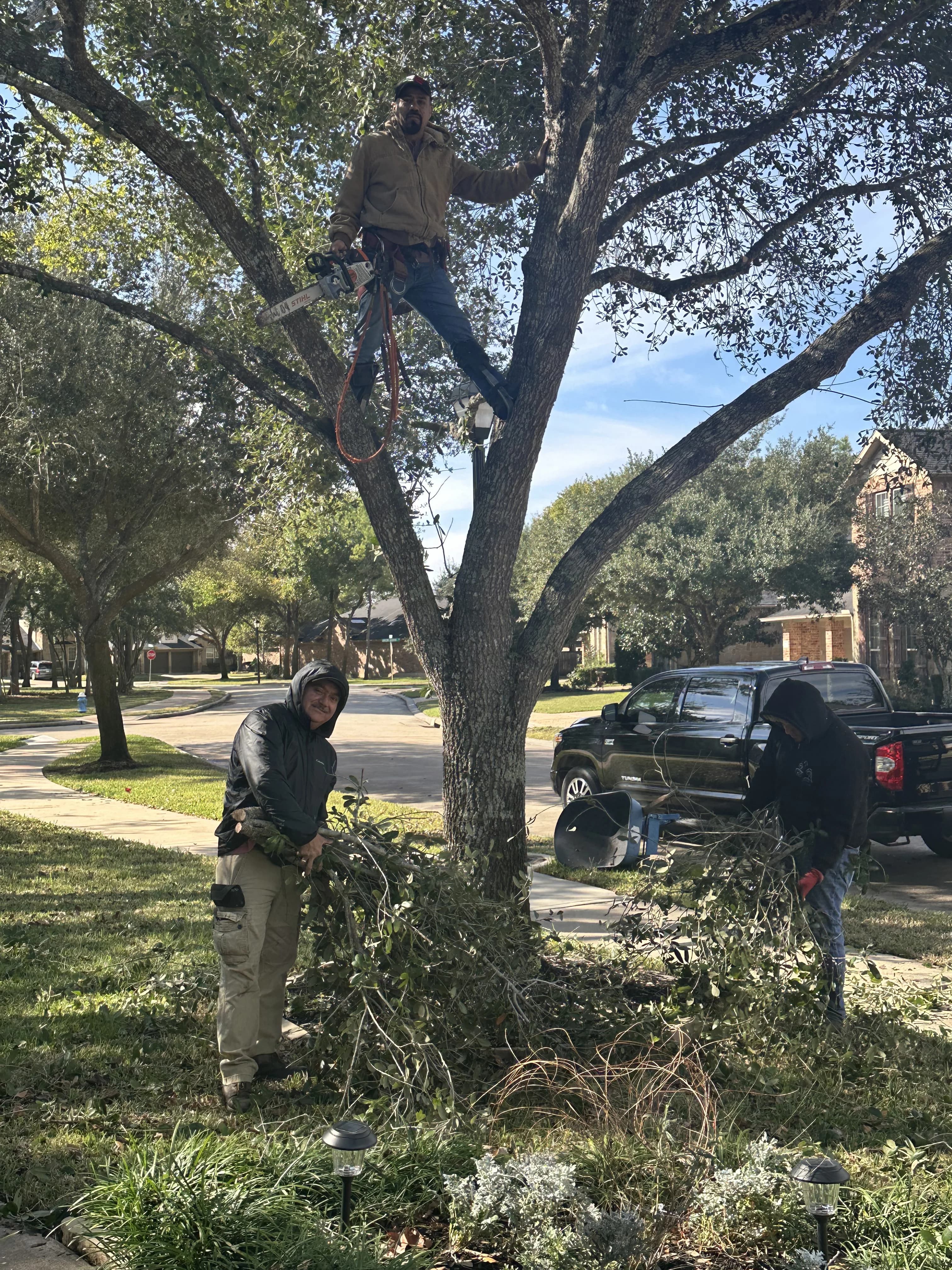 Moreno Landscaping project